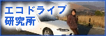 ecodrive